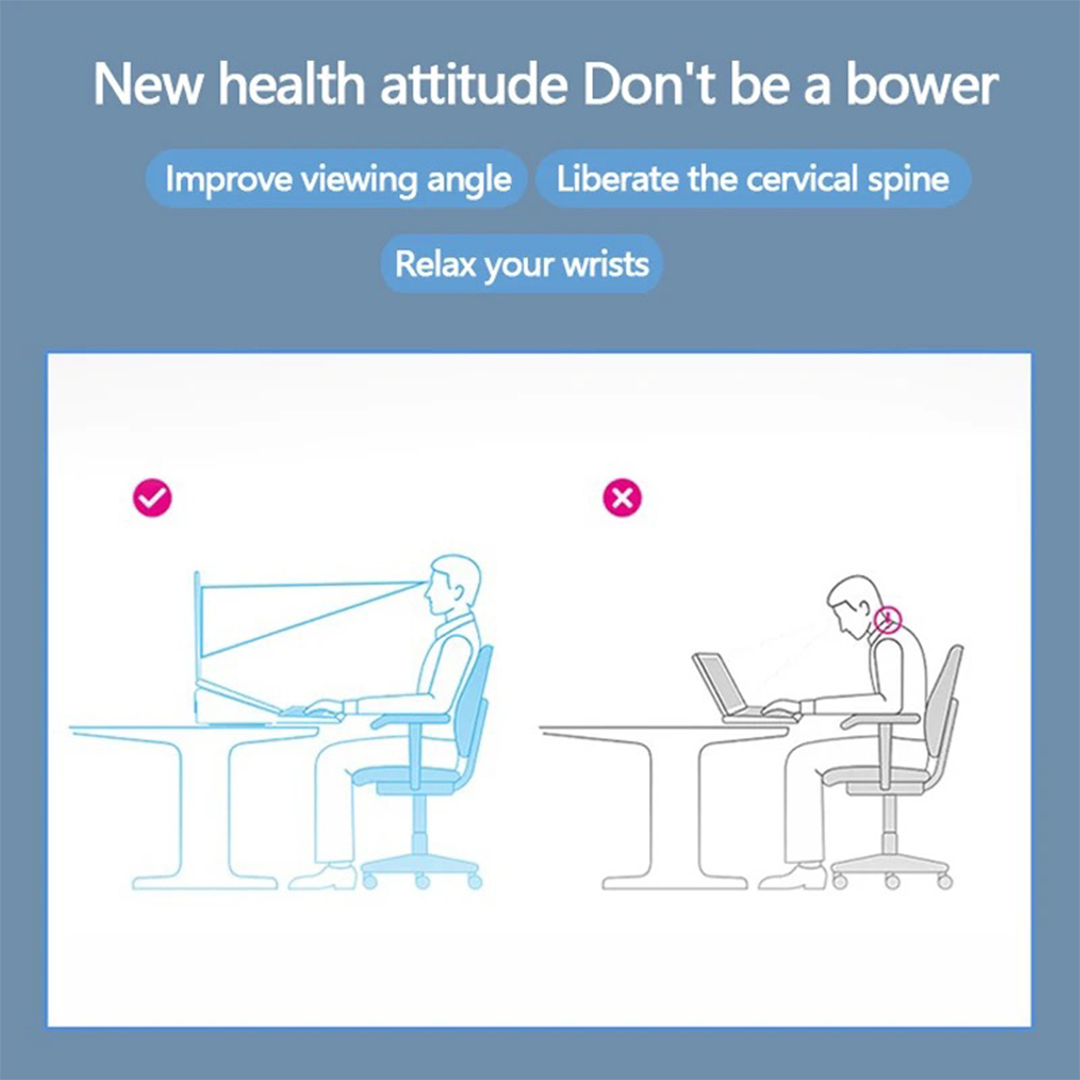 mouschi stand STEADY